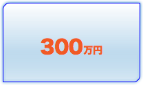 300万円